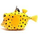 Oceanarium Octopus Holder Boxfish