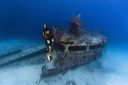 C4 Aletas Umberto Pelizzari Aurea Dorado