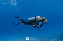 Cressi Aletas Apnea Gara Modular Sprint Negra