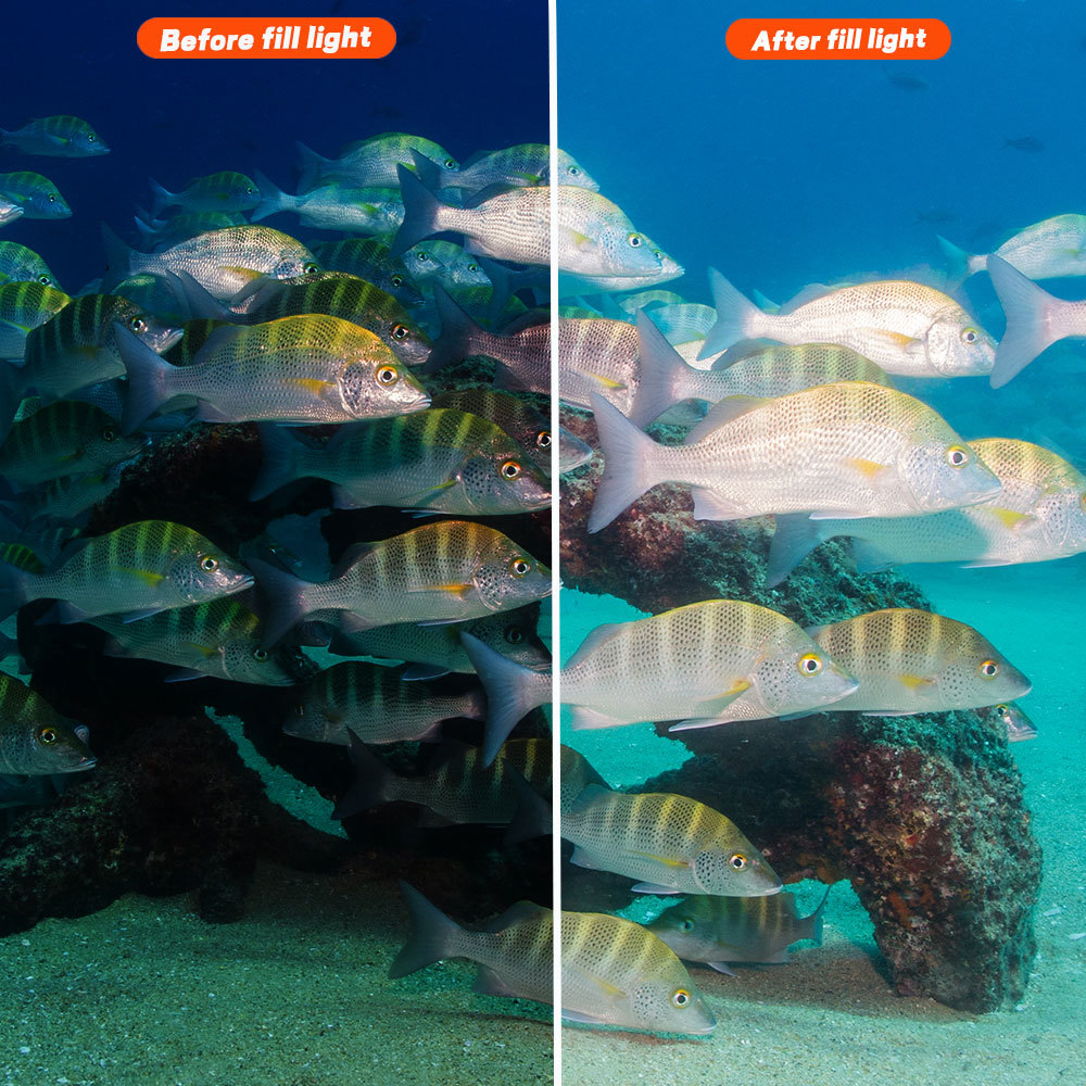 Sea Frogs Flash ST-100 PRO 100m GN 32