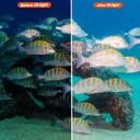 Sea Frogs Flash ST-100 PRO 100m GN 32