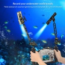 Sea Frogs Pletina con Brazos Doble Bola y Bola / YS