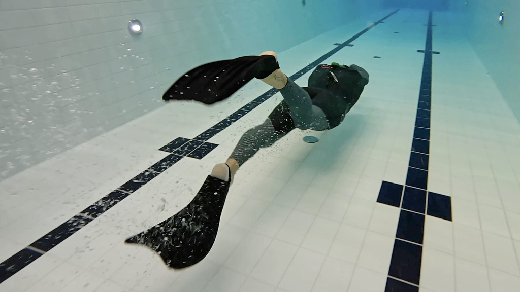 C4 Aletas Wolverine  Negro