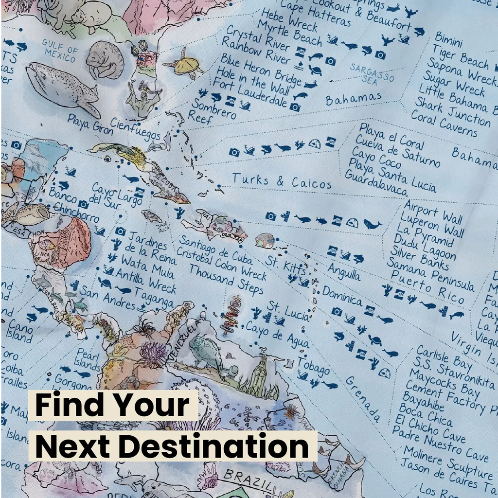 Awesome Maps Dive Map 97x56cm