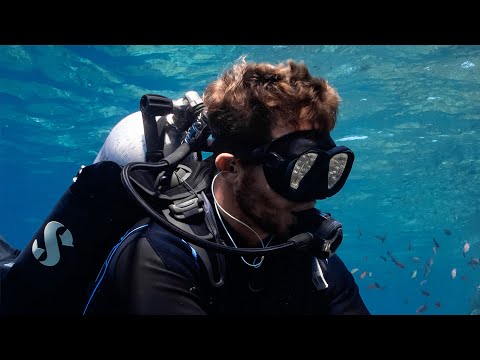 Surf Ears 4.0 Tapónes de Buceo para Oidos Coral / Sky