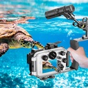 Sea Frogs Pletina TS-19 con Empuñadura y Bola