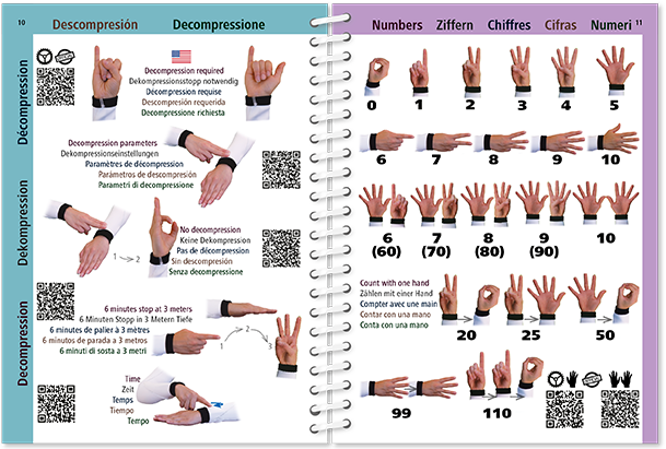 Pictolife Señales de Bueceo y Vida Submarina