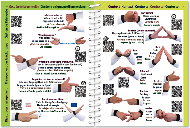 Pictolife Señales de Bueceo y Vida Submarina