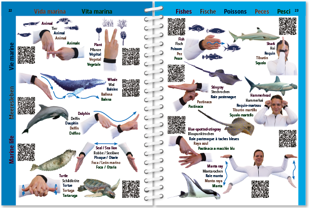 Pictolife Señales de Bueceo y Vida Submarina