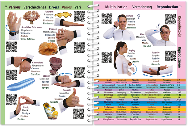 Pictolife Señales de Bueceo y Vida Submarina