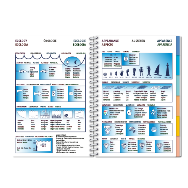 Pictolife Guía Especies de Canarias, Azores, Madeira, Cabo Verde