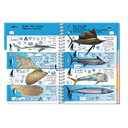 Pictolife Guía Especies de Canarias, Azores, Madeira, Cabo Verde