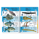 Pictolife Guía Especies de Canarias, Azores, Madeira, Cabo Verde