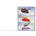 Pictolife Guía Especies de Canarias, Azores, Madeira, Cabo Verde