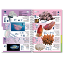 Pictolife Guía Especies de Canarias, Azores, Madeira, Cabo Verde