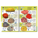 Pictolife Guía Especies de Canarias, Azores, Madeira, Cabo Verde