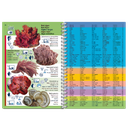 Pictolife Guía Especies de Canarias, Azores, Madeira, Cabo Verde