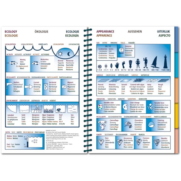 Pictolife Guía Especies del Atlántico Este
