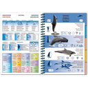 Pictolife Guía Especies del Atlántico Este