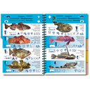 Pictolife Guía Especies del Atlántico Este