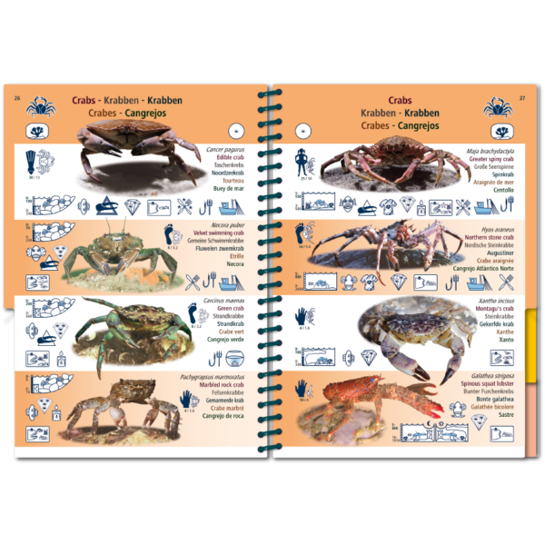 Pictolife Guía Especies del Atlántico Este