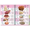 Pictolife Guía Especies del Atlántico Este