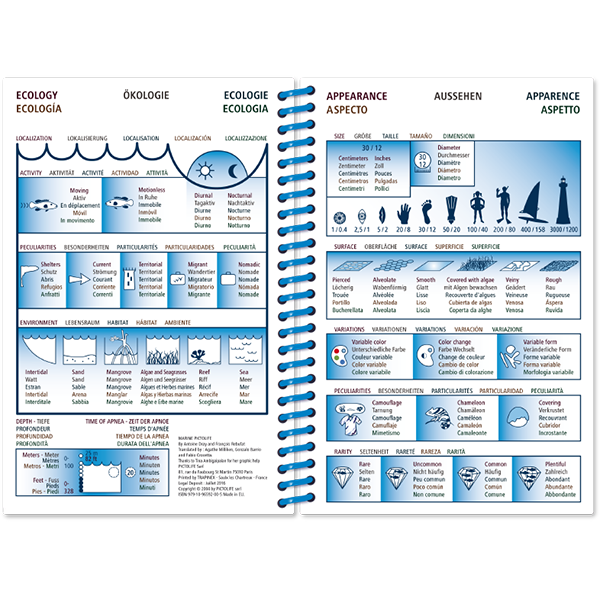 Pictolife Guía Especies del Pacífico Occidental Tropical, Thailandia, Indonesia, Australia