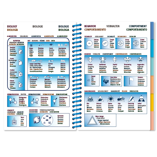 Pictolife Guía Especies del Pacífico Occidental Tropical, Thailandia, Indonesia, Australia
