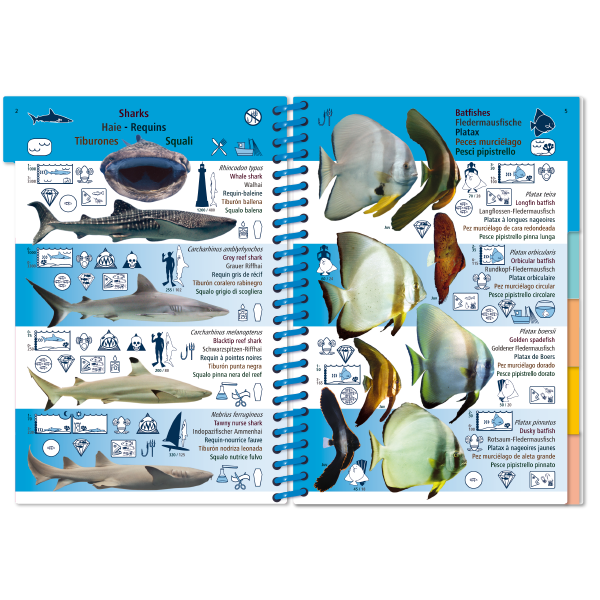 Pictolife Guía Especies del Pacífico Occidental Tropical, Thailandia, Indonesia, Australia