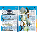 Pictolife Guía Especies del Pacífico Occidental Tropical, Thailandia, Indonesia, Australia