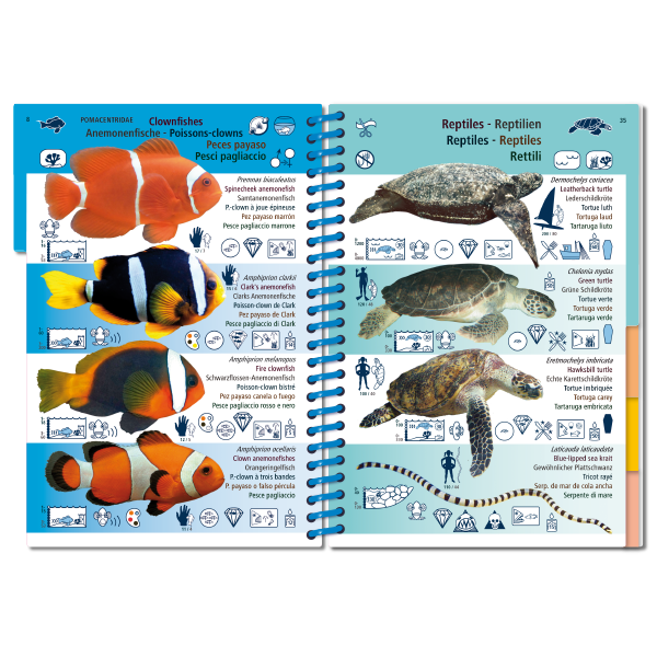 Pictolife Guía Especies del Pacífico Occidental Tropical, Thailandia, Indonesia, Australia