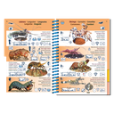 Pictolife Guía Especies del Pacífico Occidental Tropical, Thailandia, Indonesia, Australia