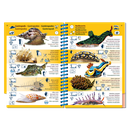 Pictolife Guía Especies del Pacífico Occidental Tropical, Thailandia, Indonesia, Australia