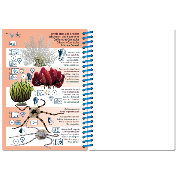 Pictolife Guía Especies del Pacífico Occidental Tropical, Thailandia, Indonesia, Australia