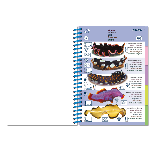 Pictolife Guía Especies del Pacífico Occidental Tropical, Thailandia, Indonesia, Australia