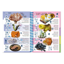 Pictolife Guía Especies del Pacífico Occidental Tropical, Thailandia, Indonesia, Australia