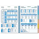 Pictolife Guía Especies del Caribe