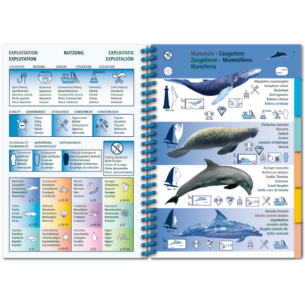 Pictolife Guía Especies del Caribe