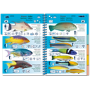 Pictolife Guía Especies del Caribe