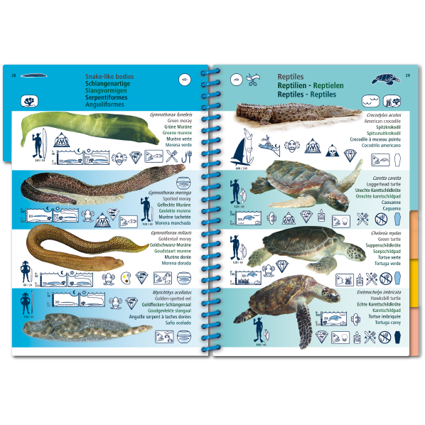 Pictolife Guía Especies del Caribe