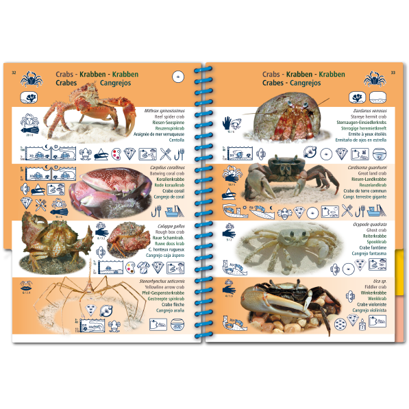 Pictolife Guía Especies del Caribe