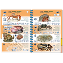 Pictolife Guía Especies del Caribe