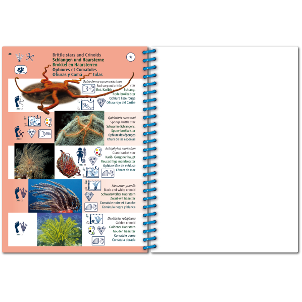 Pictolife Guía Especies del Caribe