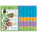 Pictolife Guía Especies del Caribe