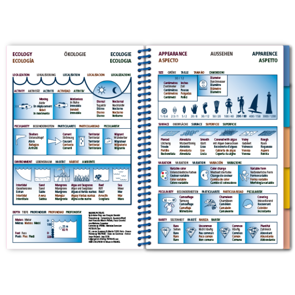 Pictolife Guía Especies del Mediterráneo