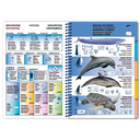 Pictolife Guía Especies del Mediterráneo