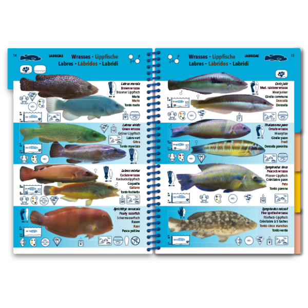 Pictolife Guía Especies del Mediterráneo