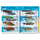 Pictolife Guía Especies del Mediterráneo