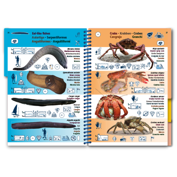 Pictolife Guía Especies del Mediterráneo