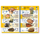 Pictolife Guía Especies del Mediterráneo